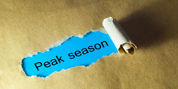 Torn wrapping paper revealing peak season words